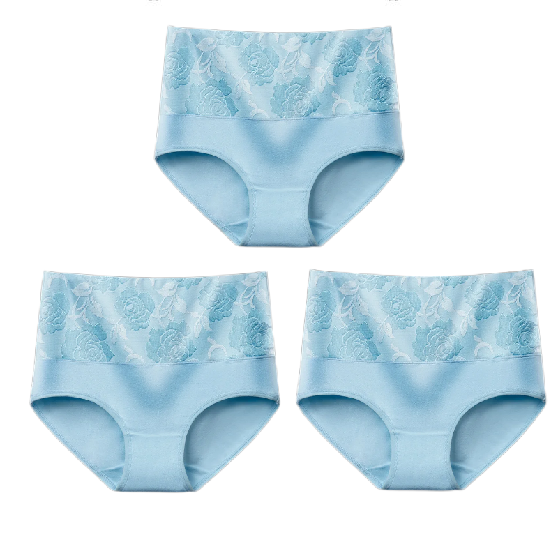 💥Kaufen Sie 1 und erhalten Sie 1 gratis💥Hochtaillierter Bauchansatz Leckagekontrolle Panty-Slip