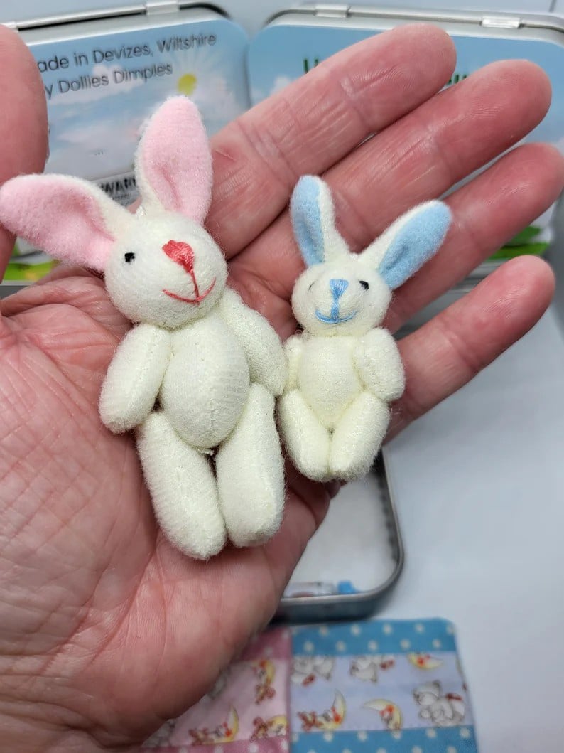 🔥 Bestes Ostergeschenk 50 % RABATT 🎁🐇Niedliche Häschen in einer Konservendose – Mutter und Babykaninchen