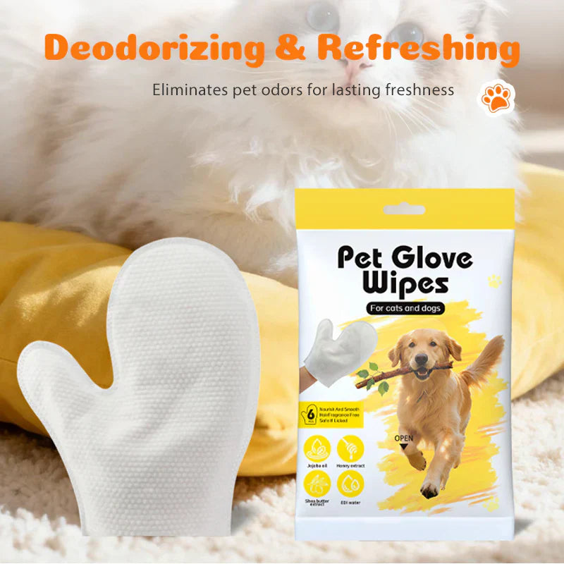 📢📢50 % Rabatt!!🥳🧹 🐾 Langstieliger Tierhaarentferner für Teppiche – Mühelos, wiederverwendbar & perfekt für Haus und Auto ✨