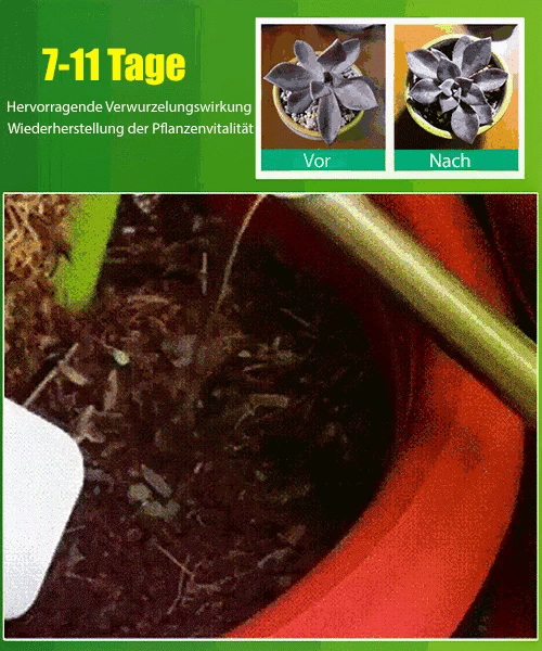 🌱 KAUFEN SIE 1, ERHALTEN SIE 1 GRATIS! 🌸 Pflanzenwachstumsaktivator – Für alle Pflanzen, gesunde Wurzeln und strahlende Blüten 🌿