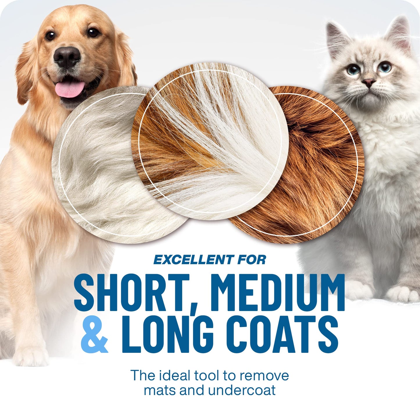 🐶🐱🔥 2+1 GRATIS 🎁 Professionelles Enthaarungs-Tool für Hunde & Katzen – entfernt lose Haare schnell & effektiv ✨