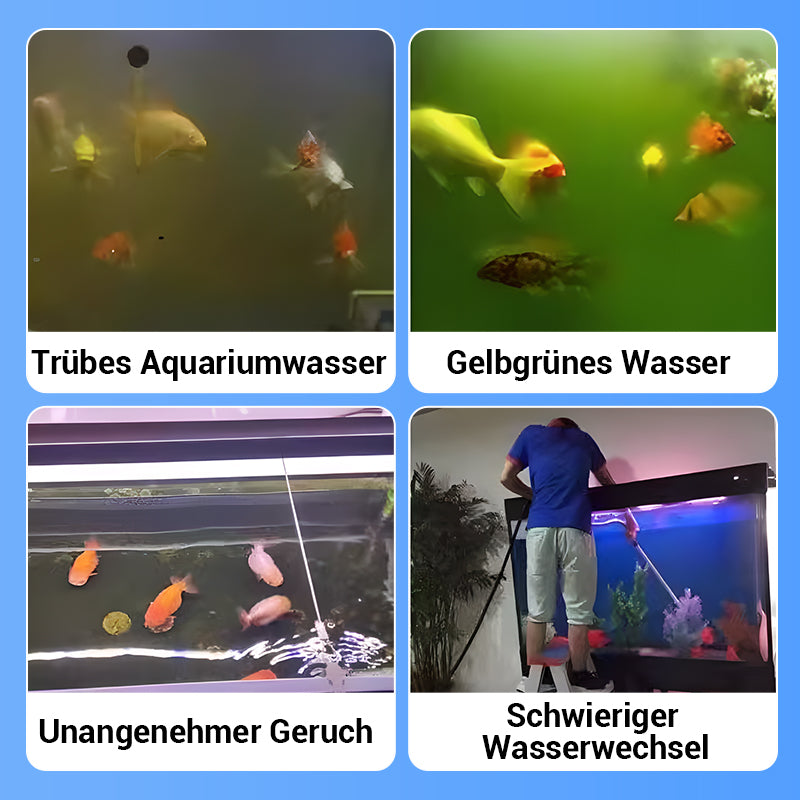 🚀Kaufen 5 und erhalten 5 gratis♻️💧Leistungsstarke Wasserreinigungstablette für Aquarien