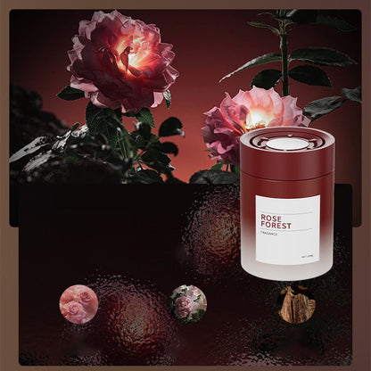 Lang anhaltender und hochwertiger Diffuser für Autos