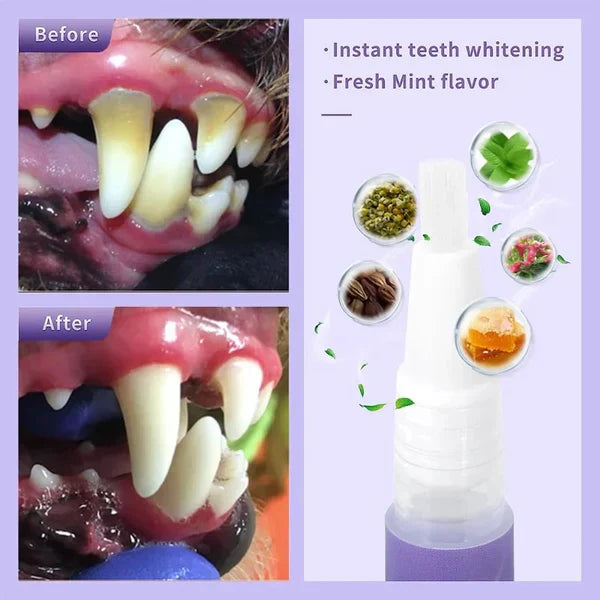 ⏳Begrenzte Zeit 50% Rabatt💥Zahnreparaturgel für Hund und Katze