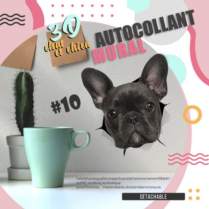 3D-Wandaufkleber mit abnehmbaren Katzen- und Hundemotiven