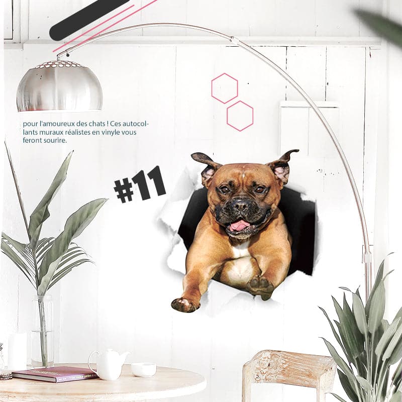 3D-Wandaufkleber mit abnehmbaren Katzen- und Hundemotiven