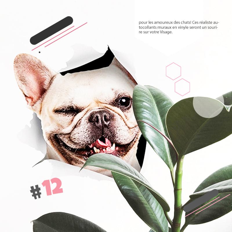 3D-Wandaufkleber mit abnehmbaren Katzen- und Hundemotiven