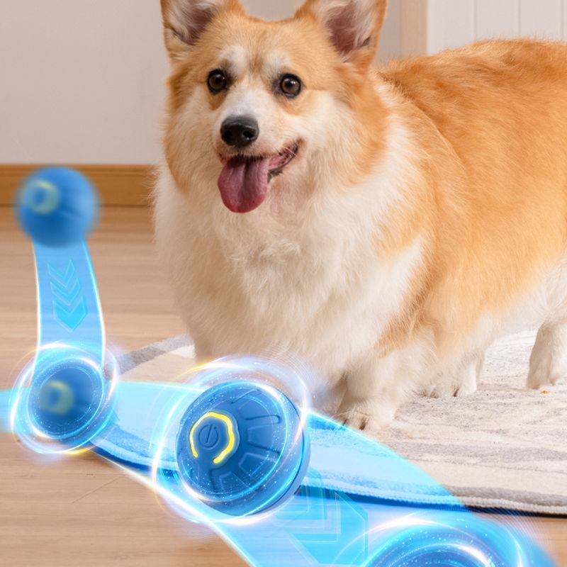 Interaktives Haustierspielzeug Automatisch rollender Ball