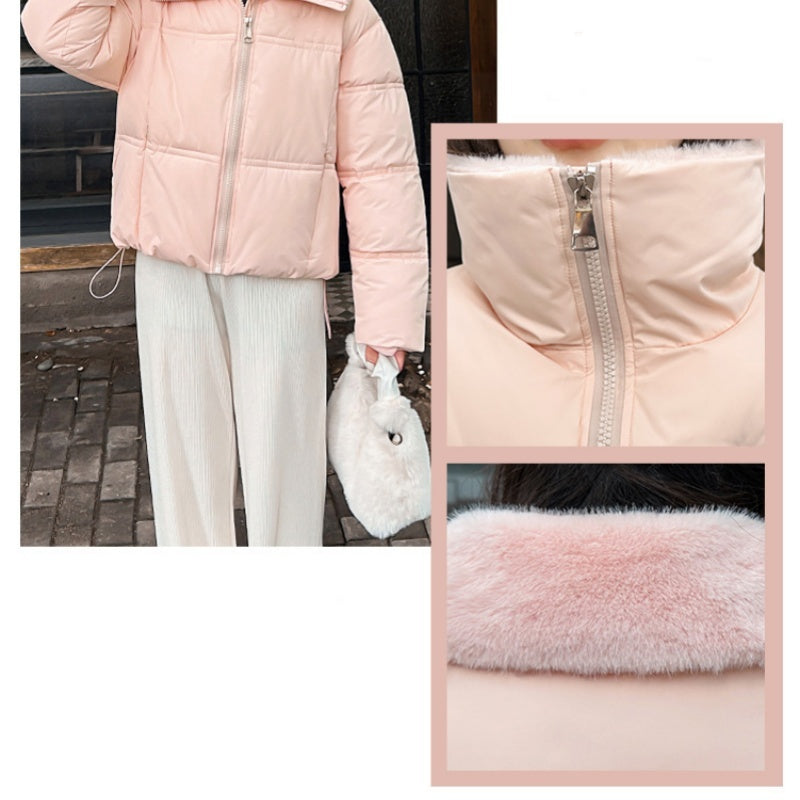 Kurze Pufferjacke für Damen mit Stehkragen