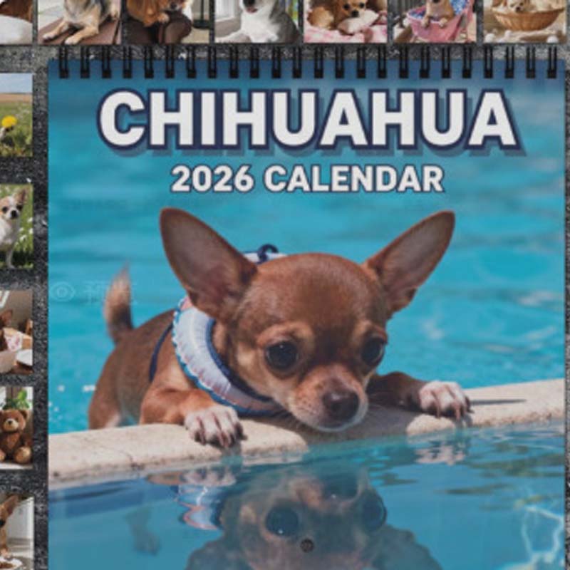 Lustiger Tierkalender 2026 Kalender