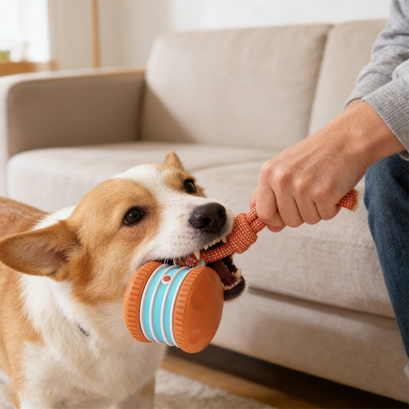 Interaktives Rollballspielzeug für Hunde