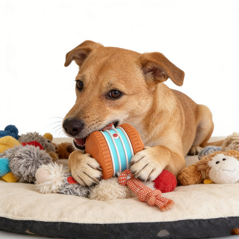 Interaktives Rollballspielzeug für Hunde