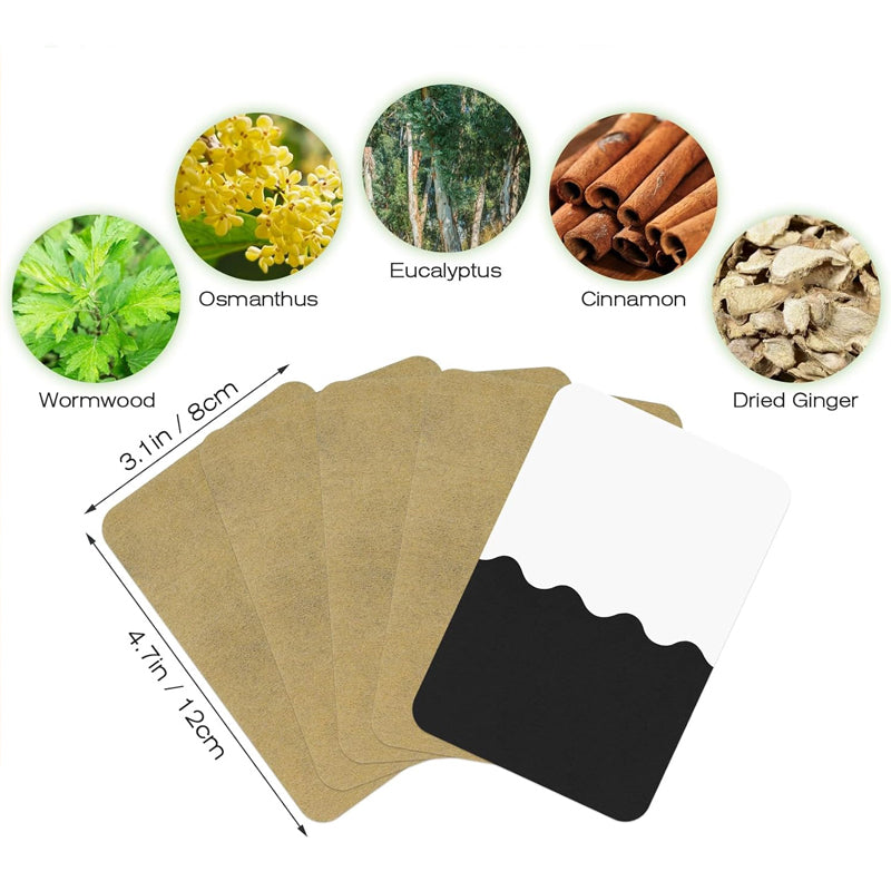 Ingwerpflaster gegen Schmerzen💪💪