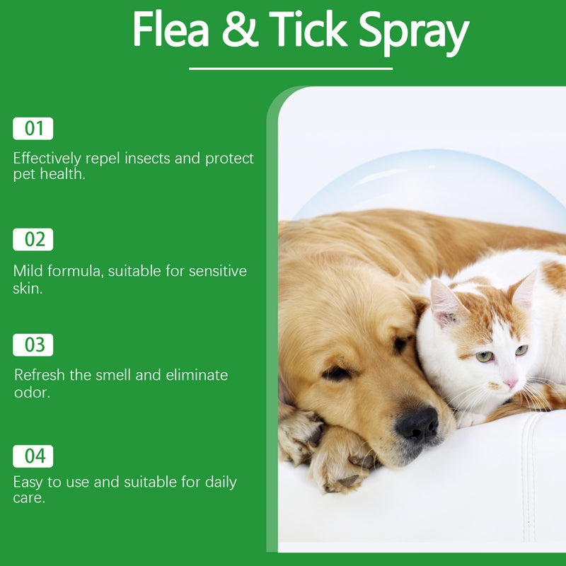 💥 MEGA DEAL: KAUF 2, ERHALTE 1 GRATIS 🎁 Natürlicher Lopp- & Fästingspray 🐶🐱 schützt effektiv & schonend 🌿